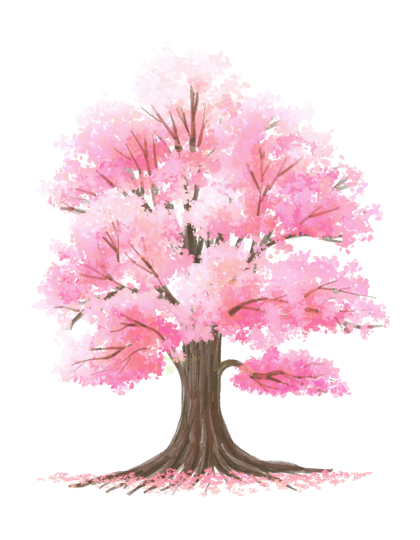 Árbol de cerezo japonés en flor durante la primavera